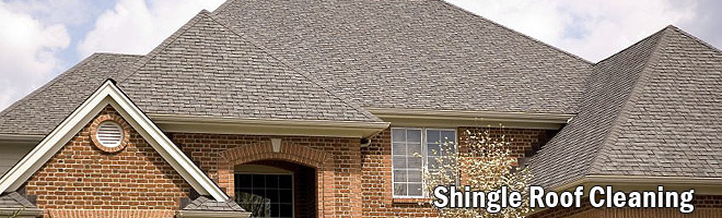 shingle roof cleaning 